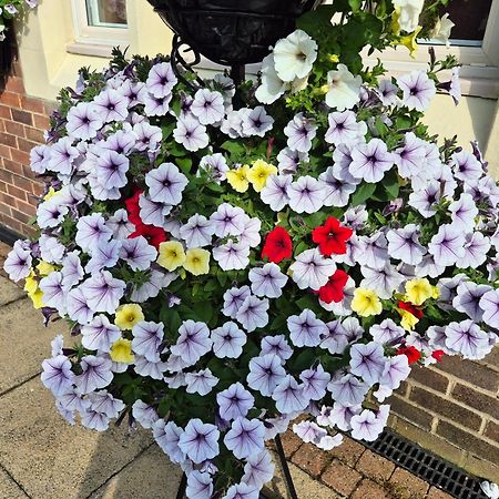 Dorset Arms Hotel Wallsend Esterno foto
