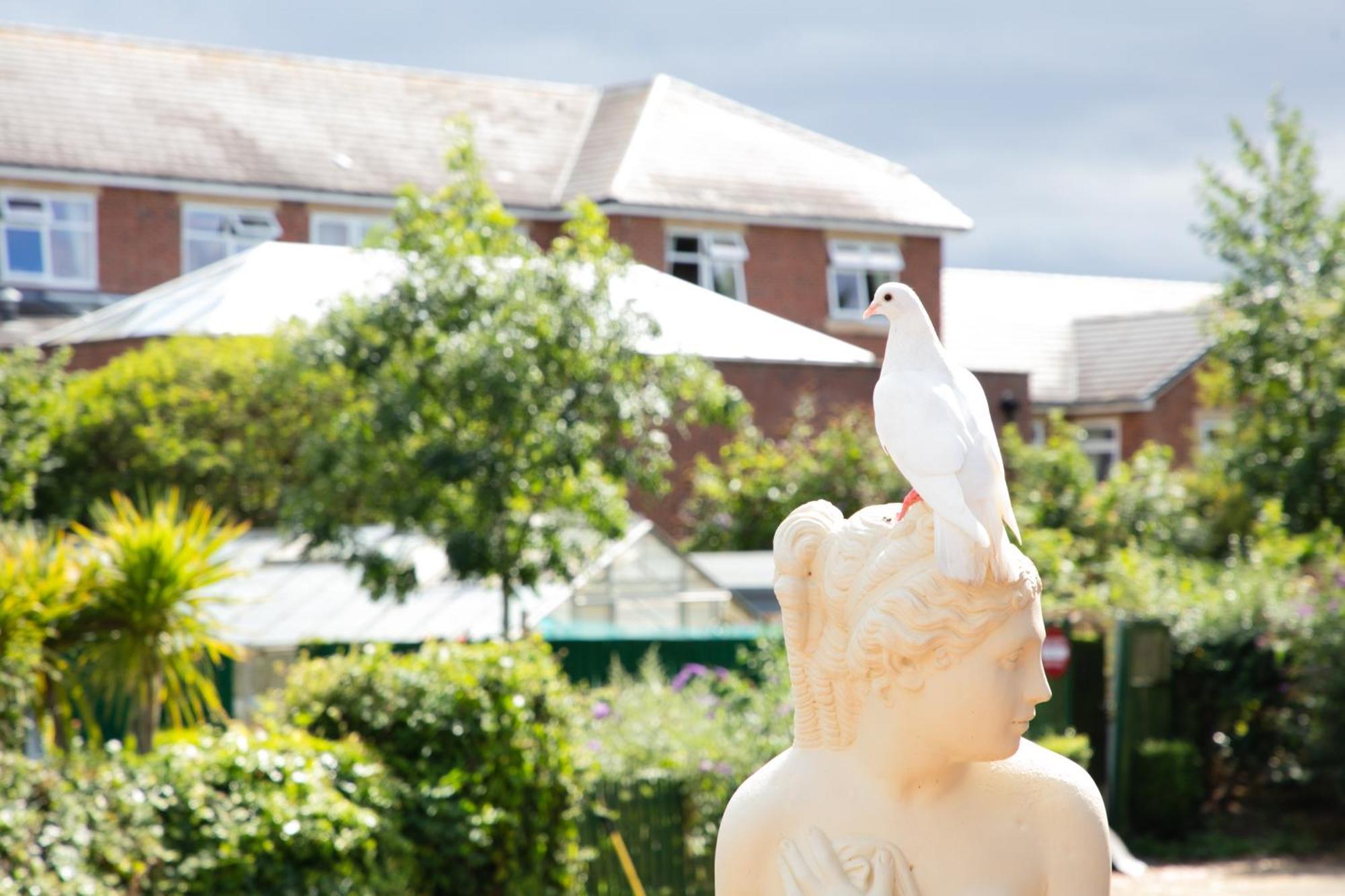 Dorset Arms Hotel Wallsend Esterno foto
