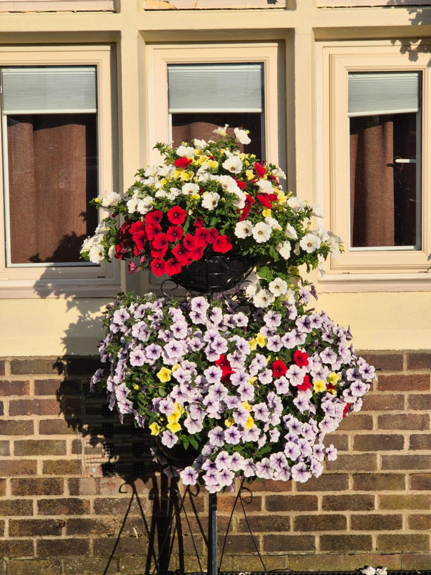 Dorset Arms Hotel Wallsend Esterno foto