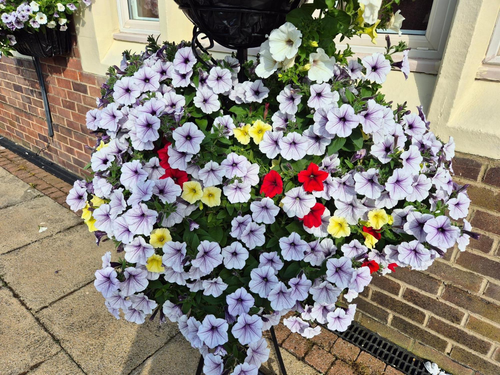 Dorset Arms Hotel Wallsend Esterno foto